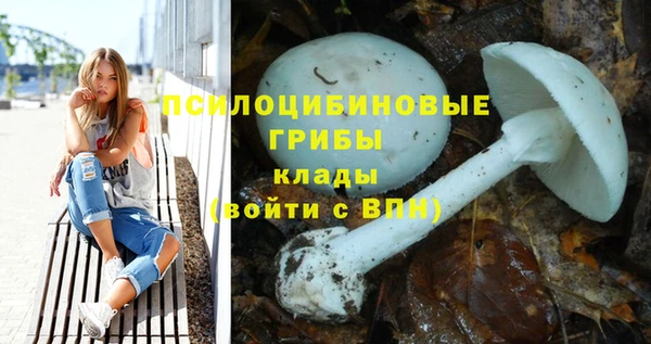 крисы Алексин