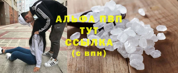 крисы Алексин