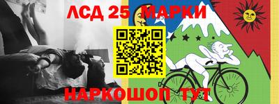 эйфоретик Кимры