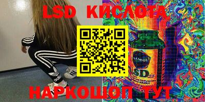 эйфоретик Кимры
