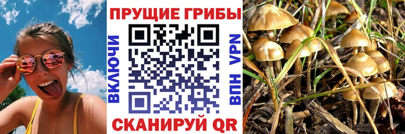 Псилоцибиновые грибы прущие грибы  blacksprut ONION  Лесной 